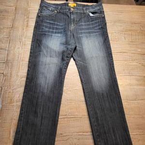 IQ and Company Blue Distressed Women's Denim Jeans Women's Size 20 Dark Wash